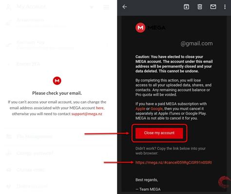 mega how to cancel subscription|how to delete mega account.